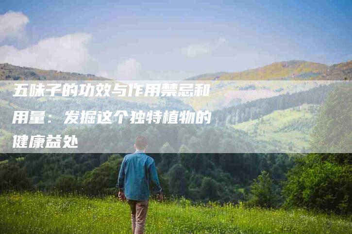 五味子的功效与作用禁忌和用量：发掘这个独特植物的健康益处