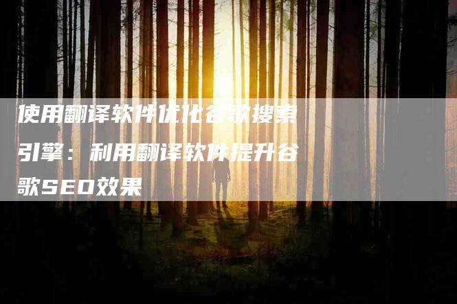 使用翻译软件优化谷歌搜索引擎：利用翻译软件提升谷歌SEO效果