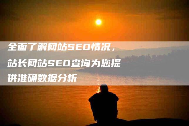 全面了解网站SEO情况，站长网站SEO查询为您提供准确数据分析