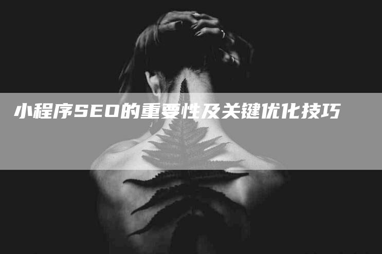 小程序SEO的重要性及关键优化技巧