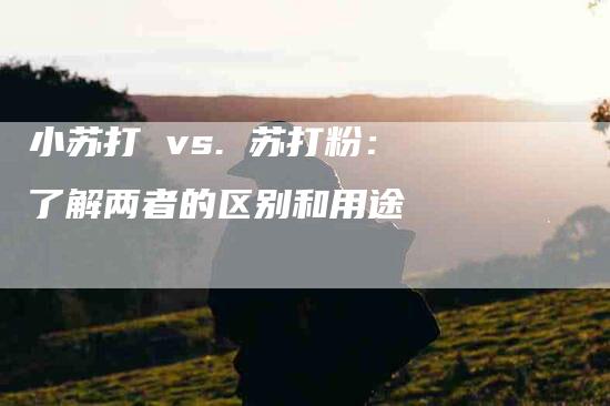 小苏打 vs. 苏打粉：了解两者的区别和用途