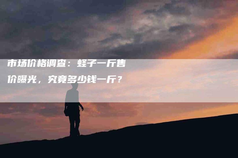 市场价格调查：蛏子一斤售价曝光，究竟多少钱一斤？