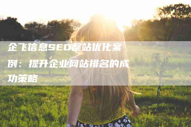 企飞信息SEO整站优化案例：提升企业网站排名的成功策略