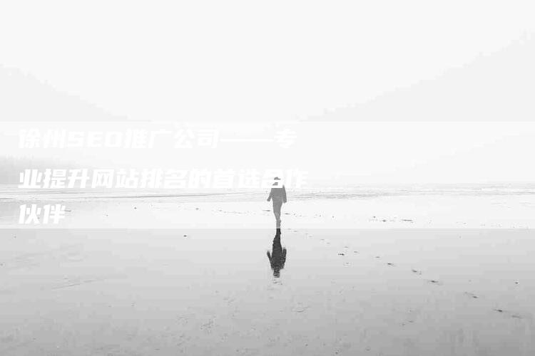 徐州SEO推广公司——专业提升网站排名的首选合作伙伴