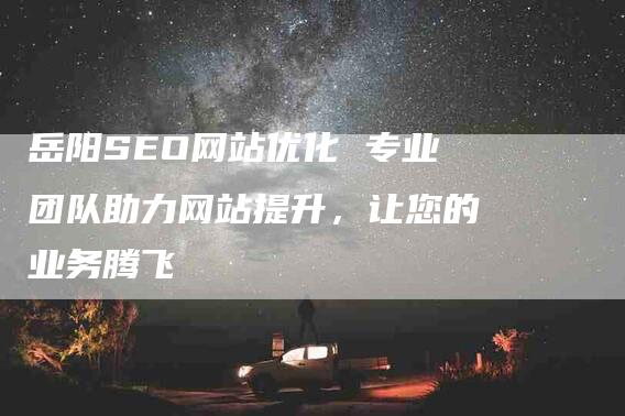 岳阳SEO网站优化 专业团队助力网站提升，让您的业务腾飞