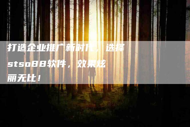 打造企业推广新时代，选择stso88软件，效果炫丽无比！