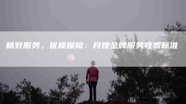 精致服务，优质保障：月嫂金牌服务收费标准