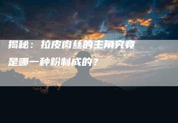 揭秘：拉皮肉丝的主角究竟是哪一种粉制成的？