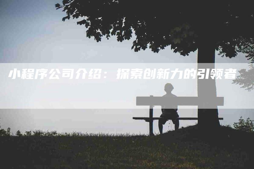 小程序公司介绍：探索创新力的引领者