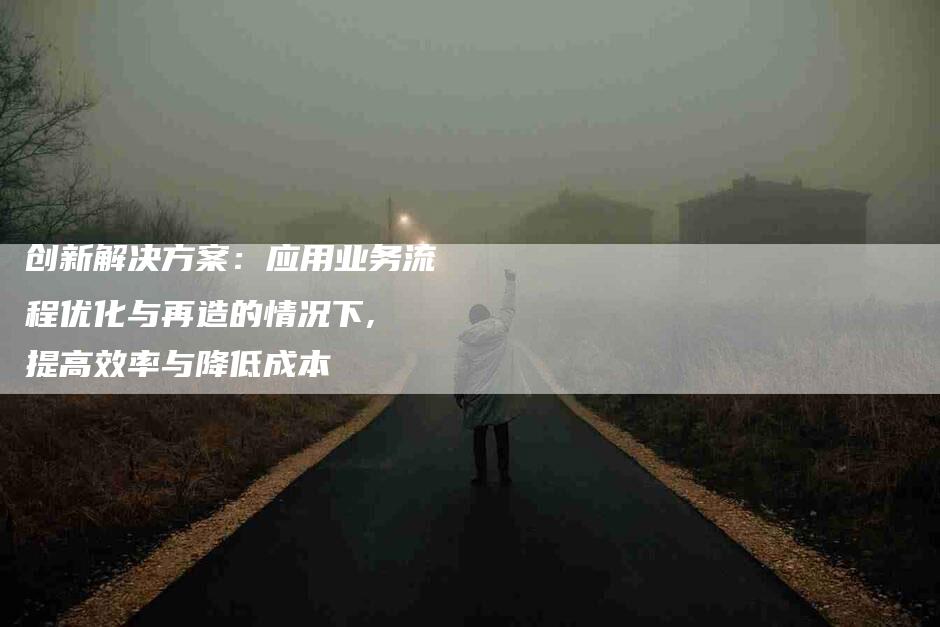 创新解决方案：应用业务流程优化与再造的情况下, 提高效率与降低成本