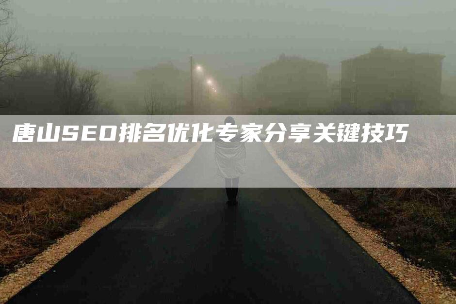 唐山SEO排名优化专家分享关键技巧