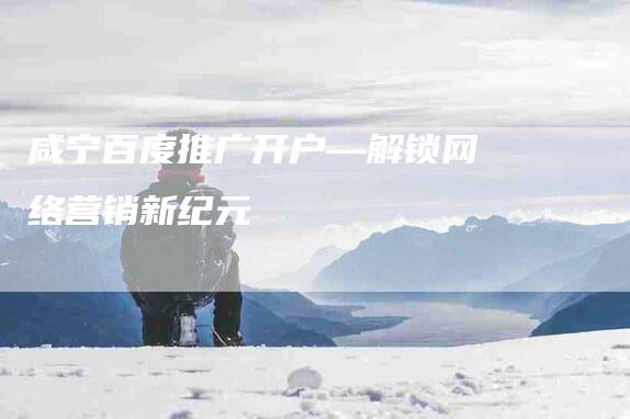 咸宁百度推广开户—解锁网络营销新纪元