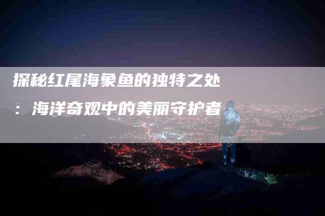 探秘红尾海象鱼的独特之处：海洋奇观中的美丽守护者