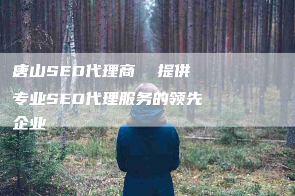 唐山SEO代理商  提供专业SEO代理服务的领先企业