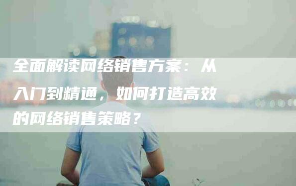 全面解读网络销售方案：从入门到精通，如何打造高效的网络销售策略？