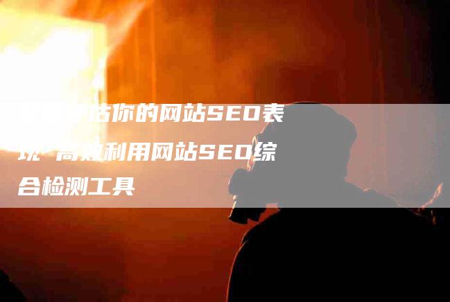 全面评估你的网站SEO表现 高效利用网站SEO综合检测工具