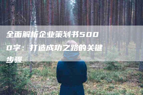 全面解析企业策划书5000字：打造成功之路的关键步骤