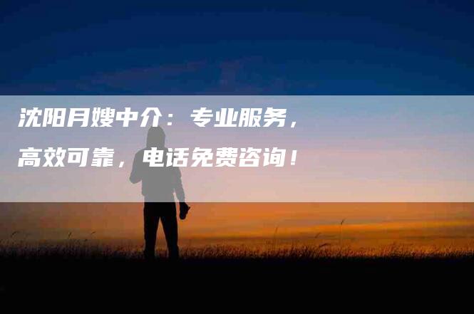 沈阳月嫂中介：专业服务，高效可靠，电话免费咨询！