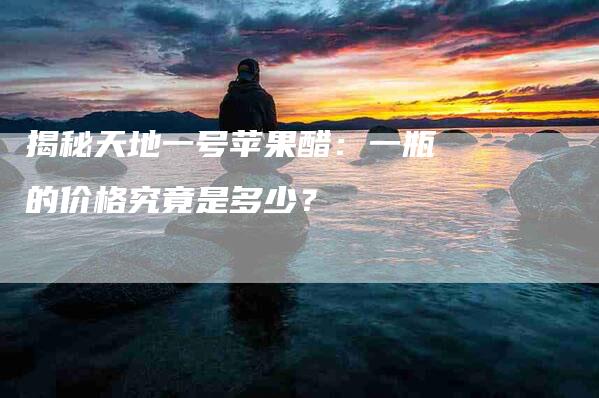 揭秘天地一号苹果醋：一瓶的价格究竟是多少？