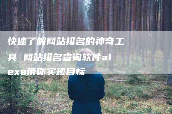 快速了解网站排名的神奇工具 网站排名查询软件alexa带你实现目标