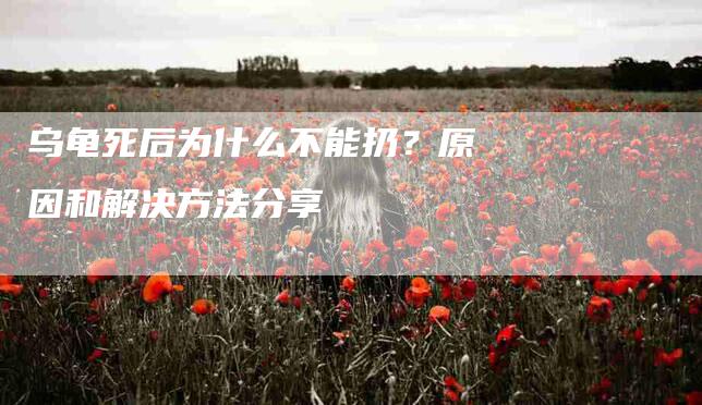 乌龟死后为什么不能扔？原因和解决方法分享