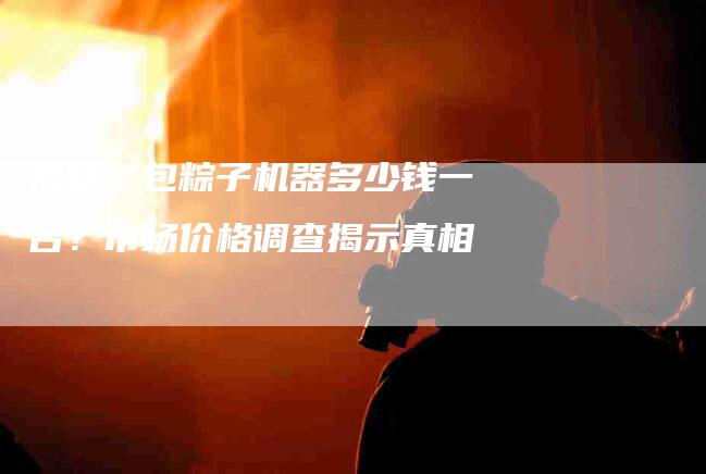 揭秘：包粽子机器多少钱一台？市场价格调查揭示真相