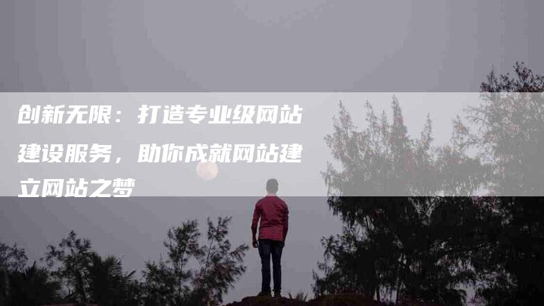 创新无限：打造专业级网站建设服务，助你成就网站建立网站之梦