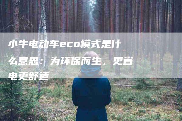 小牛电动车eco模式是什么意思：为环保而生，更省电更舒适