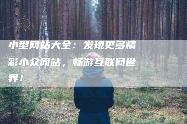 小型网站大全：发现更多精彩小众网站，畅游互联网世界！