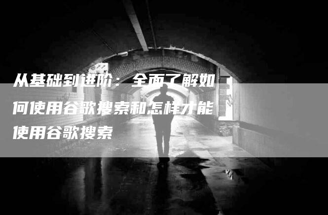 从基础到进阶：全面了解如何使用谷歌搜索和怎样才能使用谷歌搜索