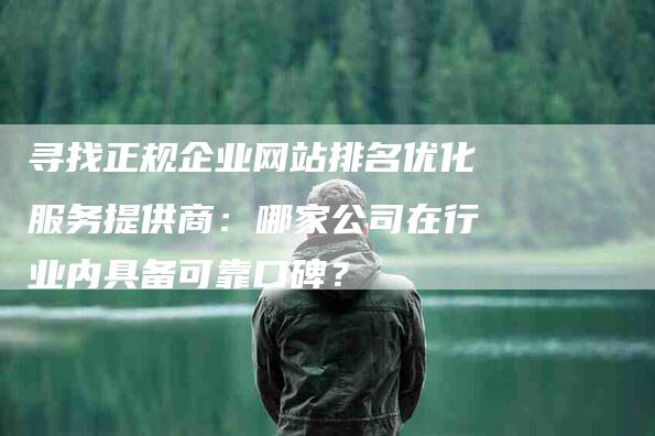 寻找正规企业网站排名优化服务提供商：哪家公司在行业内具备可靠口碑？