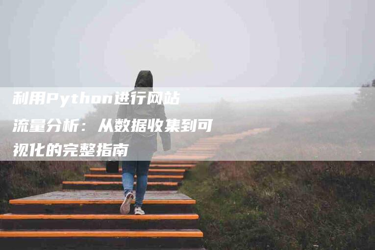 利用Python进行网站流量分析：从数据收集到可视化的完整指南