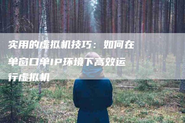 实用的虚拟机技巧：如何在单窗口单IP环境下高效运行虚拟机